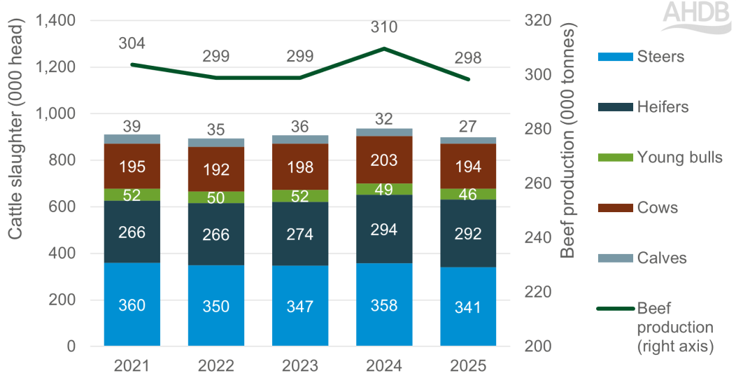 Chart showing 2025 year-to-date UK beef production and cattle slaughter Jan-Apr 2021-2025